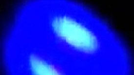 Tinder BBW Encounter Involves Assplay And Masturbation