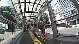 I Wore a Skirt and Thong, Rode the Metrobus in USA Seeking a Mexican Guy for a Quick Grind