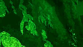 Lara Croft Tomb Raider Fucked by Futanari Cock in 3D Simulator Gameplay