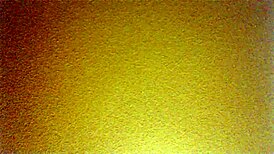 Mexican Amateurs Bent Over In Doggystyle Pose.