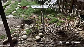 Luna Green hunts chestnuts, stumbles on big cock for ass... oopsie!