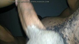 are you fucking the wife like this every night?