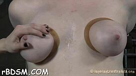 Cutie Bound and Stuffed with Toys