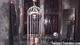 im going to train you like a slave in bdsm