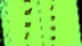 Summers Gone Adventure