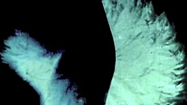 Vintage scene says, 'hairy pussy from the age of steam'