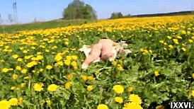 casual blowjob from stranger girl with cum in mouth