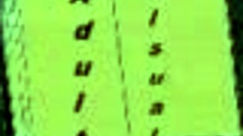 One Day At A Time 4: Anime Cartoon Series.