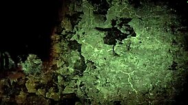 Vintage Erotic Drawings