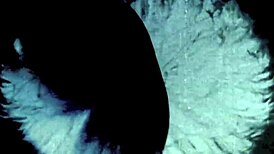 oh man dark lantern entertainment shows vintage closeups from my secret life confessions