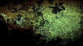 Classic Vintage Erotic Anime Illustration