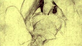 复古色情画展示性感古董动漫风情