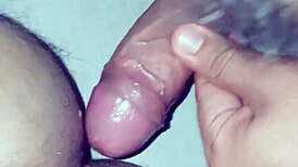 gia ohmy and lolly dames get hardcore pov sex with creampie