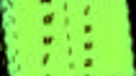 Outdoor family game challenges in the park