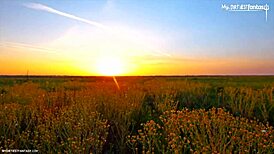 Farmer Twink Jerks and Sucks a Dick in Dirty Farm Encounter