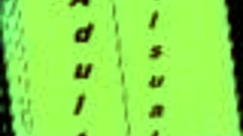 i explore an alternate existence in this game