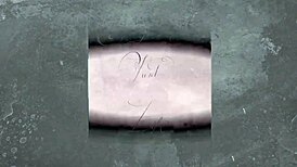 Vintage Pornostalgia Featuring Hairy Pussy And Beaver