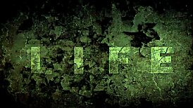 见过这么狂野的复古色情动画吗？纯正复古热辣！ 😍