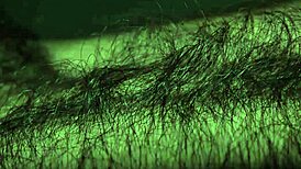 louivmane explores his hairy gay bear body in compilation