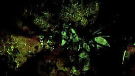 hey, ain't this vintage erotic illustration just wild? 🖼️