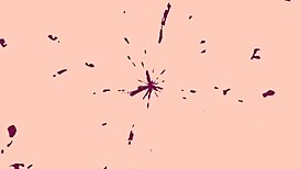 omg, this 55 yo granny took cum in her ass on cam, wild stuff! 😲