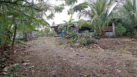 Pinay Scandal Public Sex