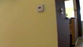 velicity von stars in 3d scene with riding and facial