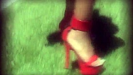 Thicka Than a Snicka Vol 6 Part 2 Curves Galore