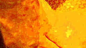 fucked my 24-year-old friend in pussy and ass