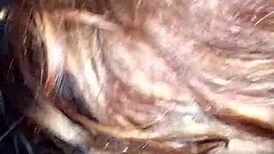 2017年2月4日复古蓝片视频