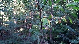 me n my girlfriends, oops, mastubating outdoors in swimsuits... crazy!