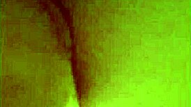 i can’t believe bbw grandma came all the way from england