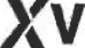 Stacy Bloom Faces Intense Black Action in Wild Scene