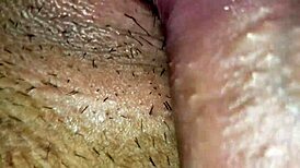 De Perrito Le Introdusco Toda La Verga