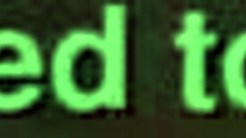 Amateur Couple Intimate Moments in Bedroom