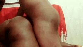 Sundaydogood614 - Update 1031 - Vid 20250423 143430 - Apr 23 2025