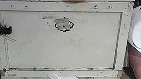 huge dildos stretch my oiled holes with double penetration and anal play