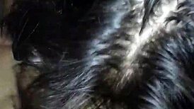 nerdy girl giving cheating blowjob 😏