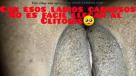 厄瓜多尔大屁股老婆四肢着地让我舔屄舔屁眼