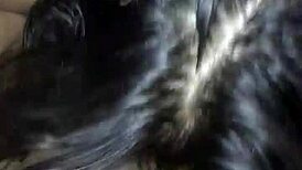 nerdy girl giving cheating blowjob 😏