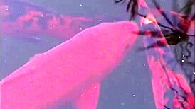 True college girls volume 8 scene 1 with blonde coeds kissing softly