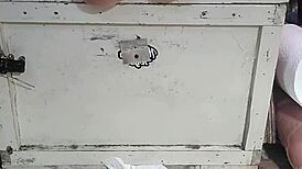 huge dildos stretch my oiled holes with double penetration and anal play