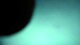 look at that bitch's big hairy pussy