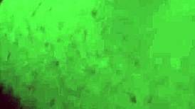 Ven a tomar ducha conmigo, amor, feel my chubby milf body