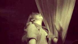 dark lantern entertainment brings vintage hairy beaver classics