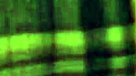 Asian mature hooker licks feet in missionary