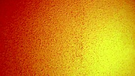 Asian mature hooker licks feet in missionary