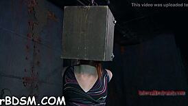 Boldly Inflicting Intense Pleasure on Naked Babe's Wet Pussy with Rough Blowjob and Hardcore Fucking Contest