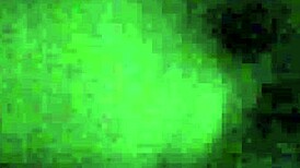 bathroom blowjob leads to swallow and cumshot with dr terra del rio