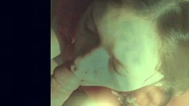 Compilation of Sucking Big Cocks, Cumshots on Big Tits, Creampies, and Oral Pleasures